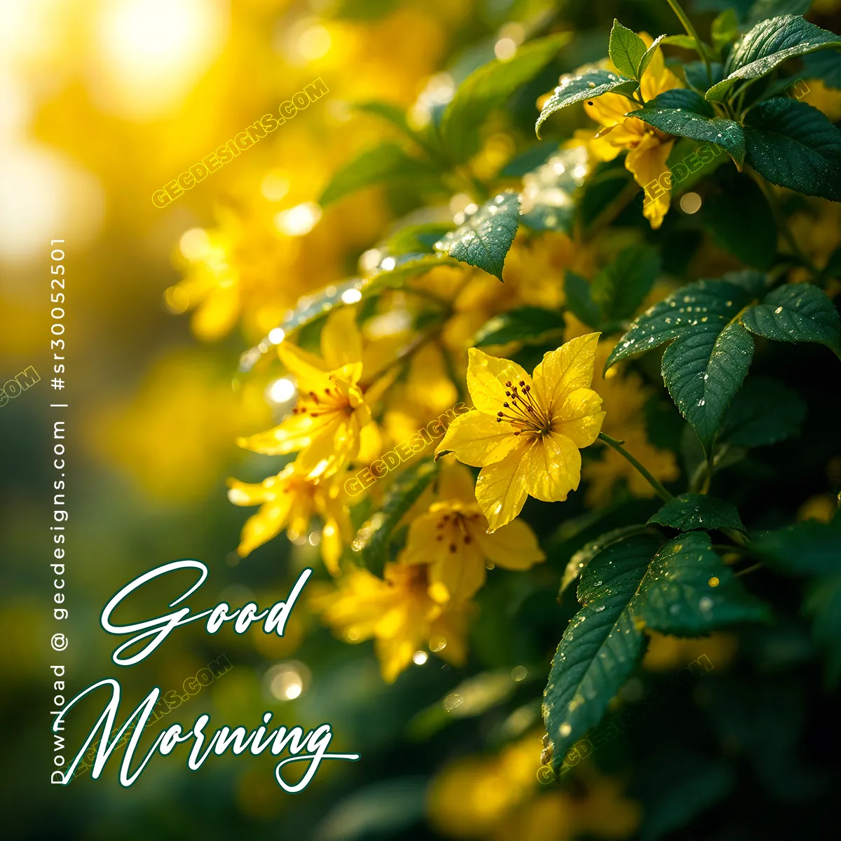 Good Morning wishes with Beautiful flowers - GEC Designs